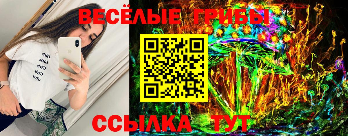 Галлюциногенные грибы Psilocybe  Вход с VPN  Лабытнанги 