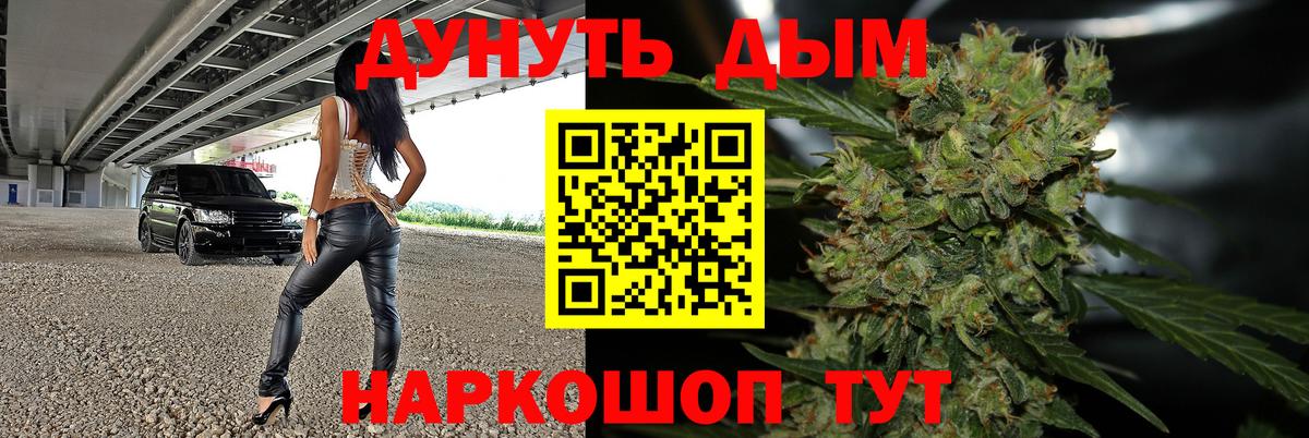 Бошки Шишки конопля Лабытнанги